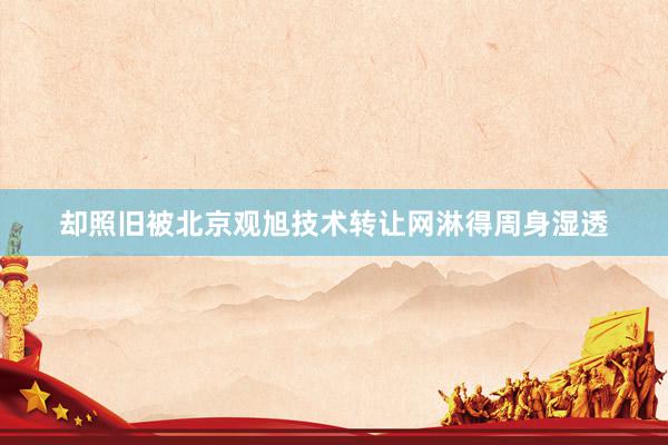 却照旧被北京观旭技术转让网淋得周身湿透